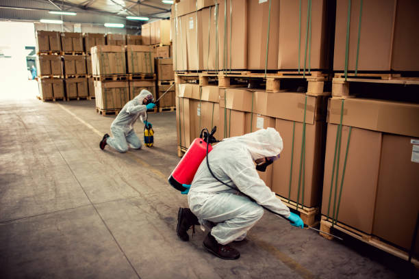 Pest Control Cost in Minneapolis, MN