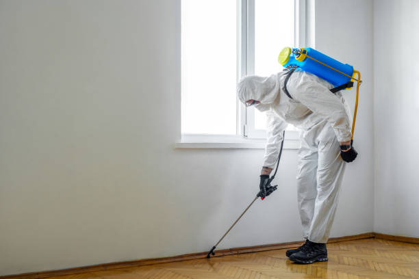 Best Pest Prevention Services  in Minneapolis, MN