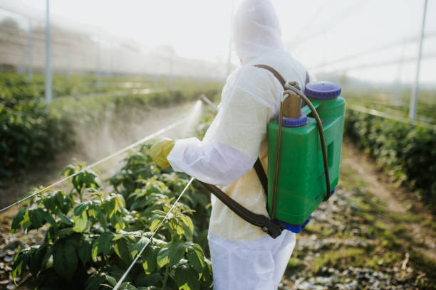 Flea Control Services in Minneapolis, MN
